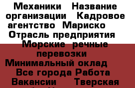 Механики › Название организации ­ Кадровое агентство "Мариско-2" › Отрасль предприятия ­ Морские, речные перевозки › Минимальный оклад ­ 1 - Все города Работа » Вакансии   . Тверская обл.,Нелидово г.